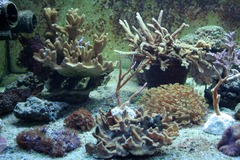 Killikus&reg; Fotographie